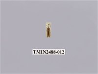 藏品(暗良苔蛾)的圖片